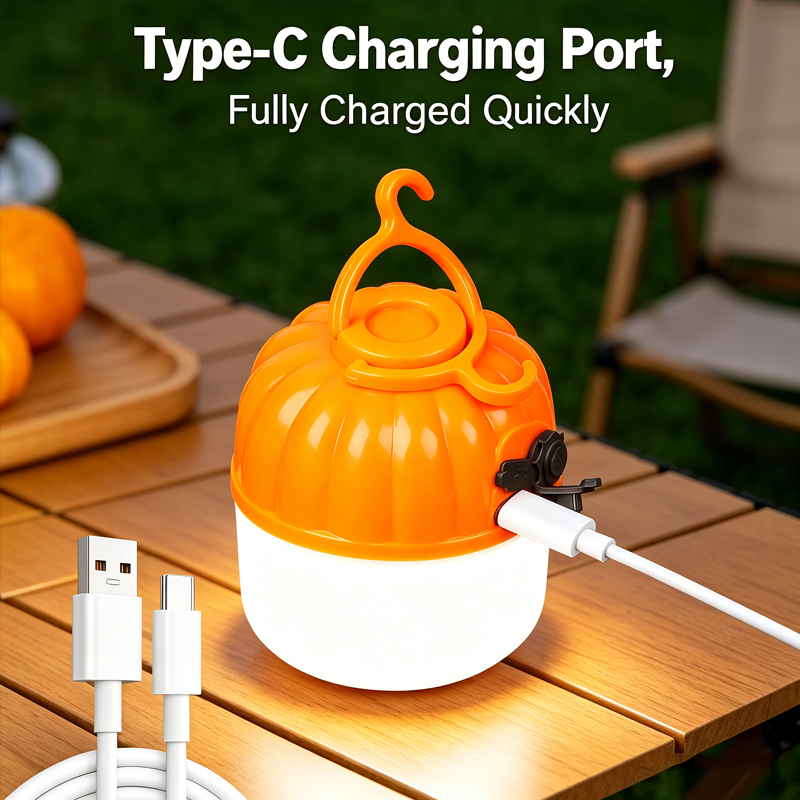 Mini Portable LED Pumpkin Bulb - Zinc Outdoor Lighting recensione e prezzo