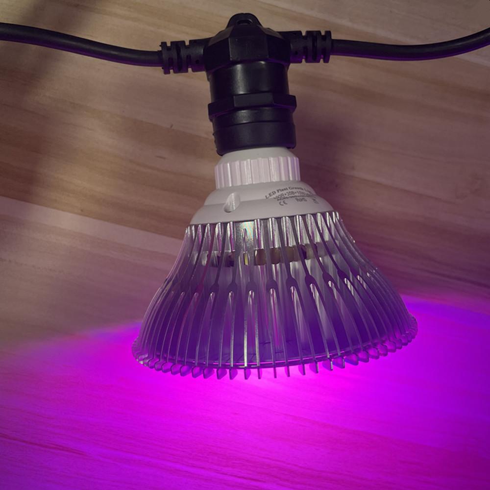 10M Cable LED String Commercia - Outdoor Lighting Socket recensione e prezzo