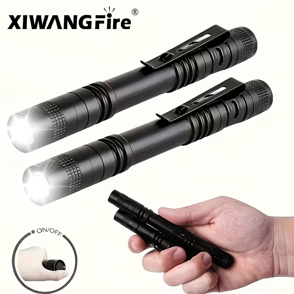 Mini Portable LED Pen Light Po - Zinc Outdoor Lighting recensione e prezzo