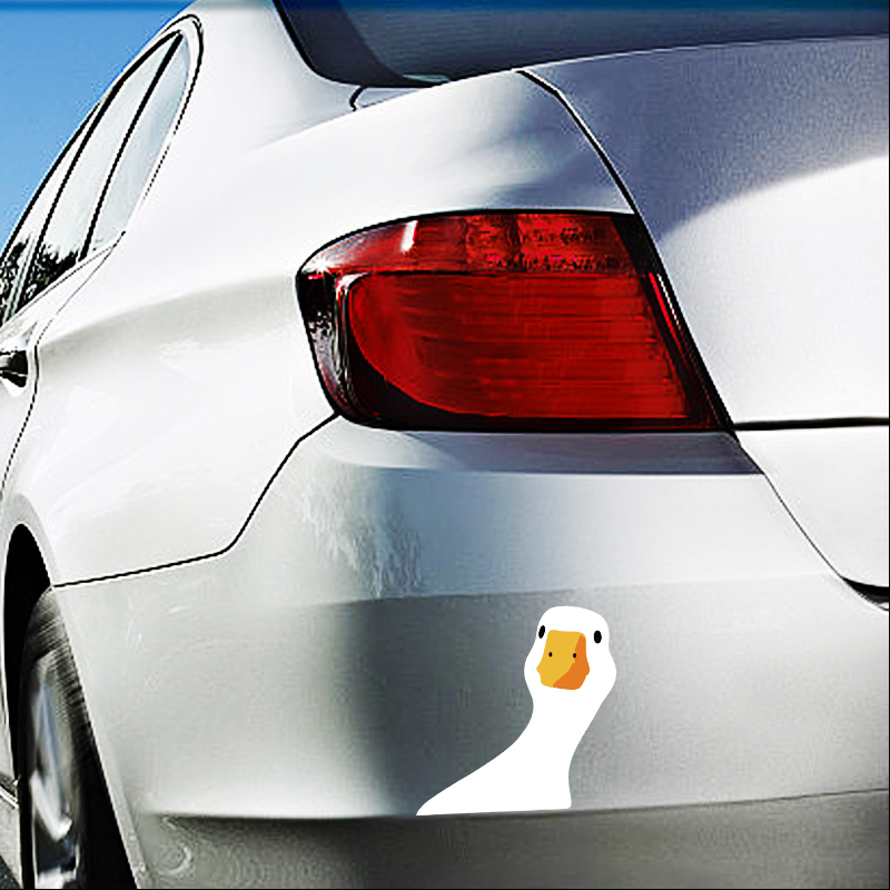 Car Safety for Doubtful Duck C - Outdoor Lighting Socket recensione e prezzo